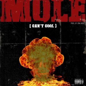 Kofi Mole –  Can’t Cool (Prod By BPM BOSS)